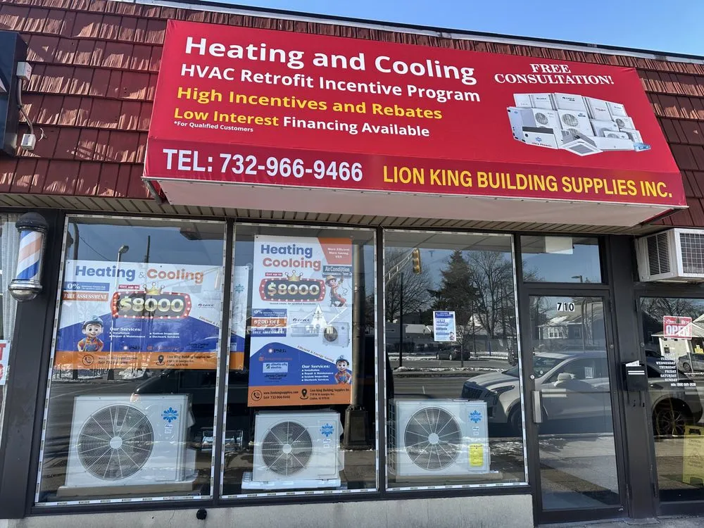 Slide of Lion King Supplies