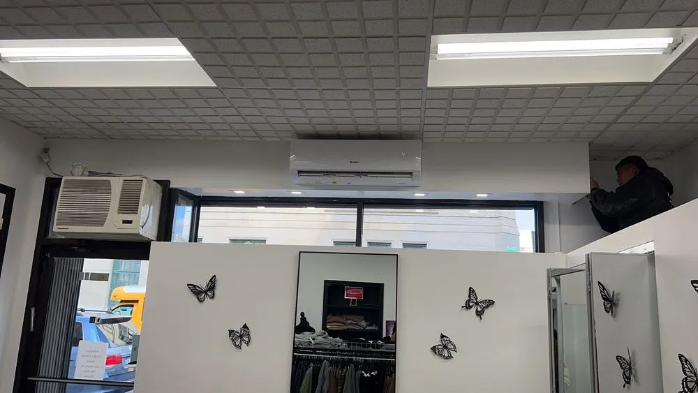 Slide of Lion King Supplies