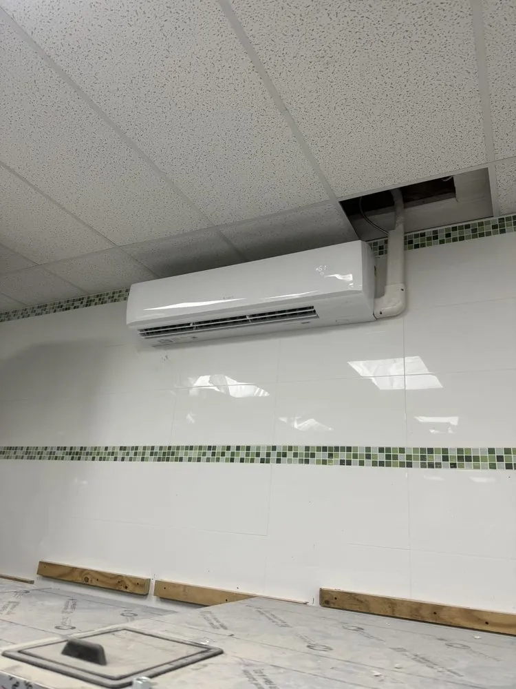 Slide of Lion King Supplies