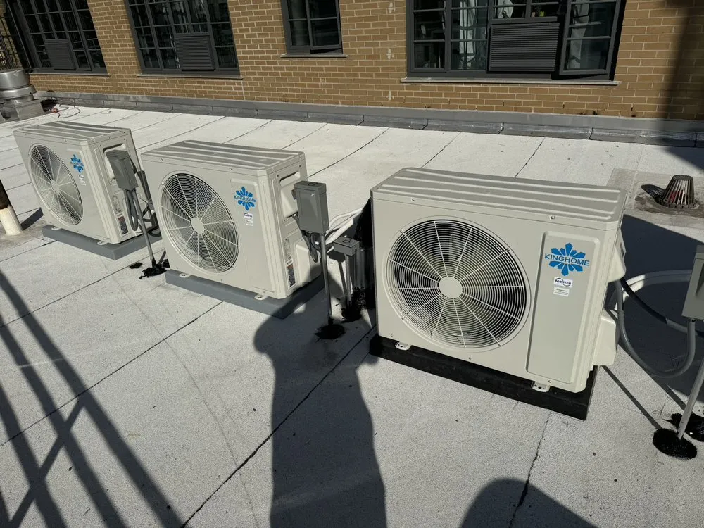 Slide of Lion King Supplies