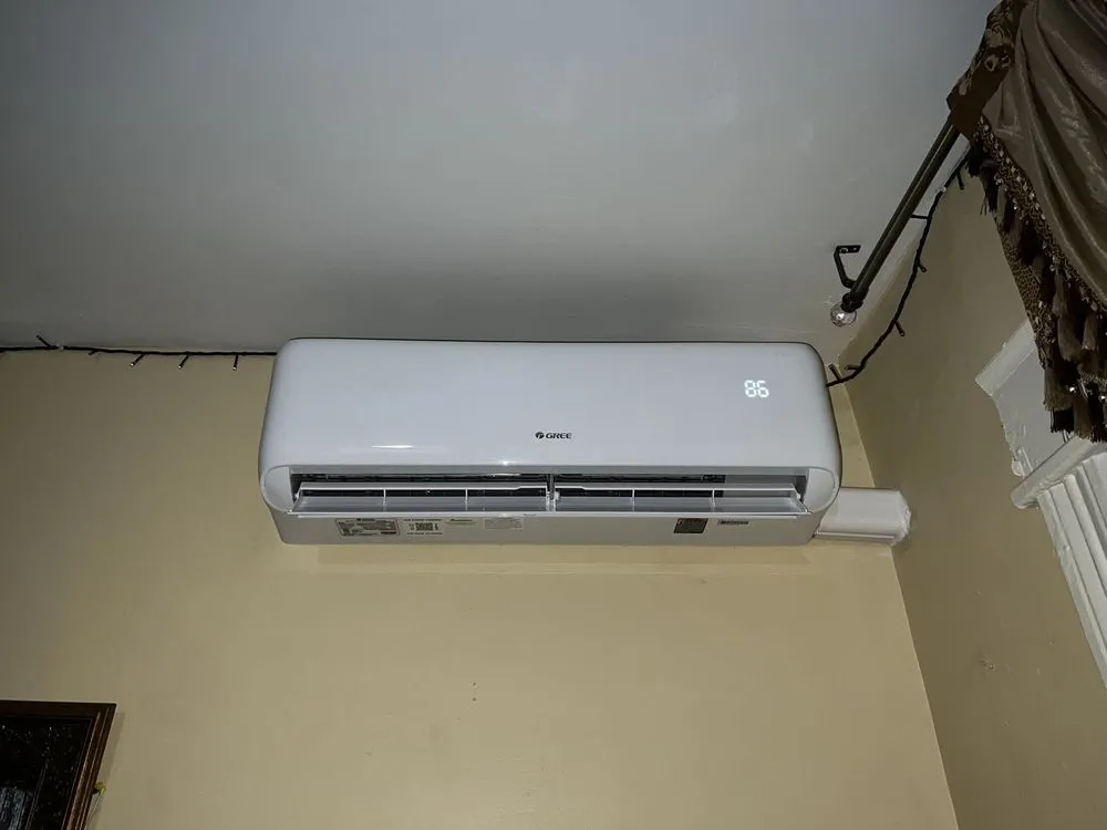 Slide of Lion King Supplies