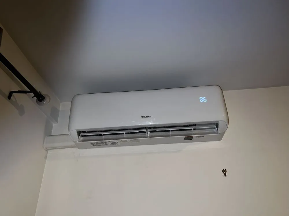 Slide of Lion King Supplies