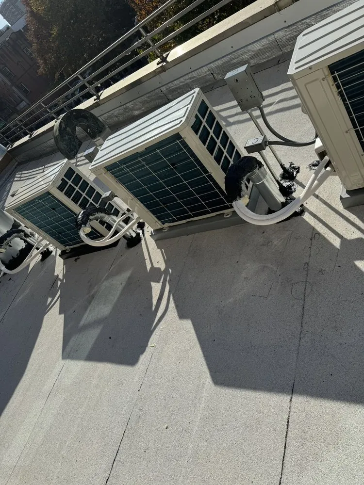 Slide of Lion King Supplies