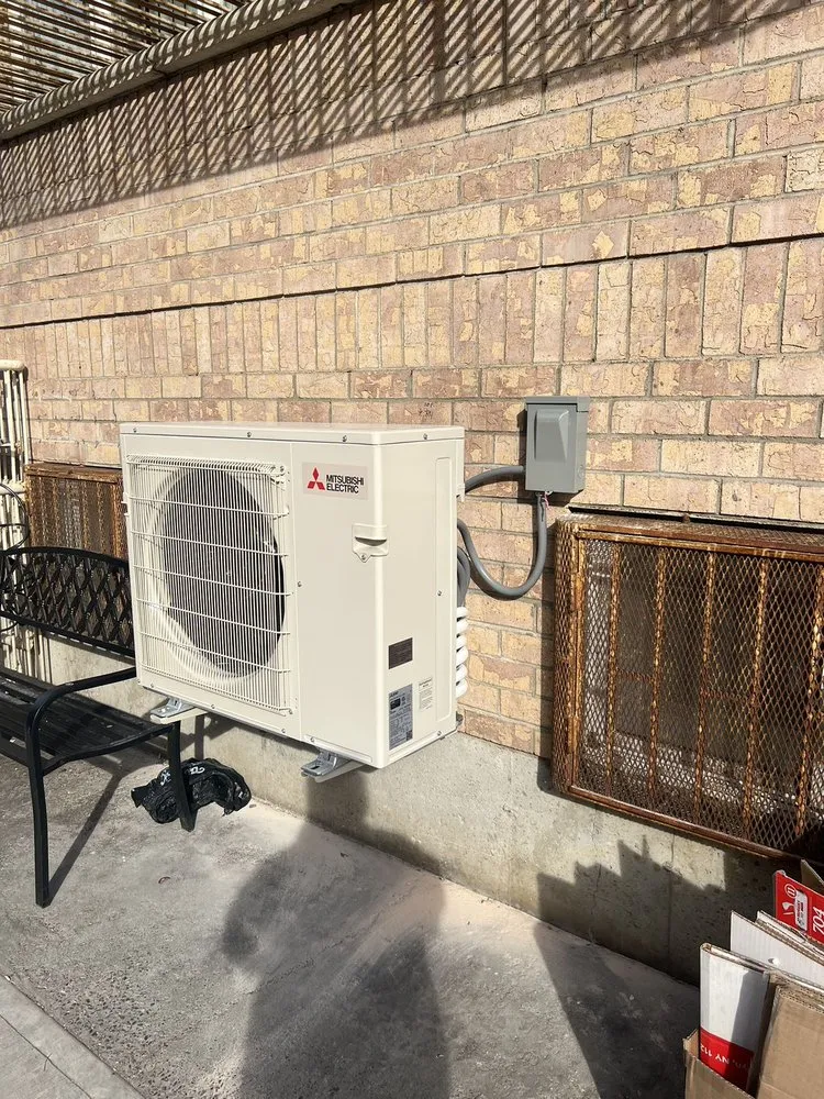 Slide of Lion King Supplies