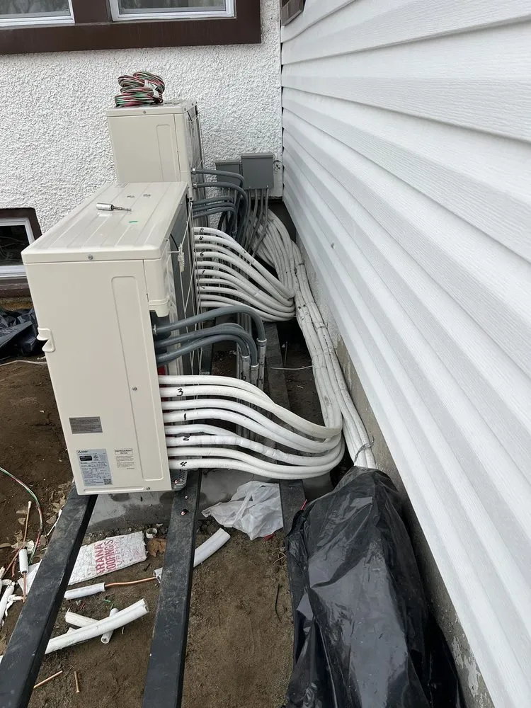 Slide of Lion King Supplies