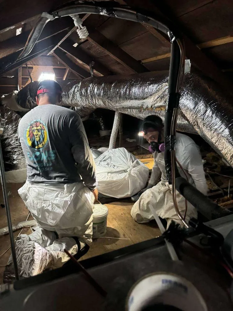 Slide of Lions Air Duct Services