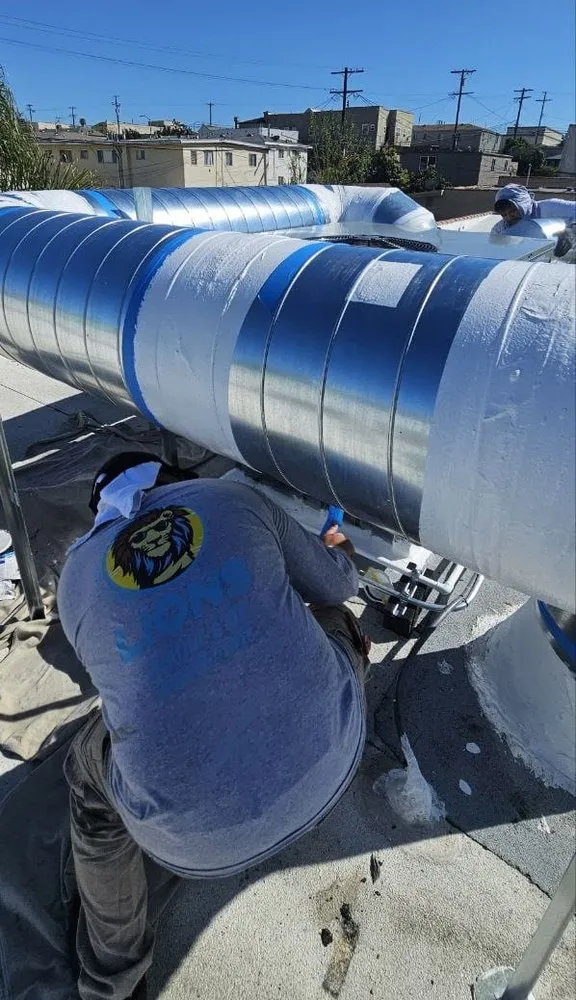 Slide of Lions Air Duct Services