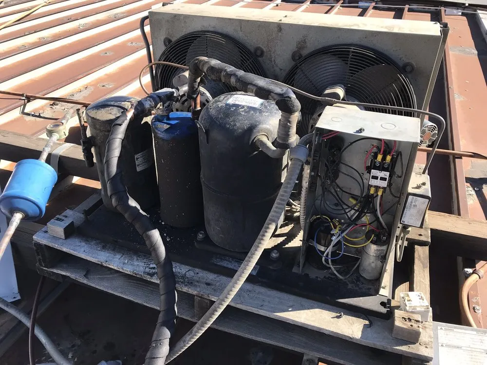 Slide of Lira’s Mechanical