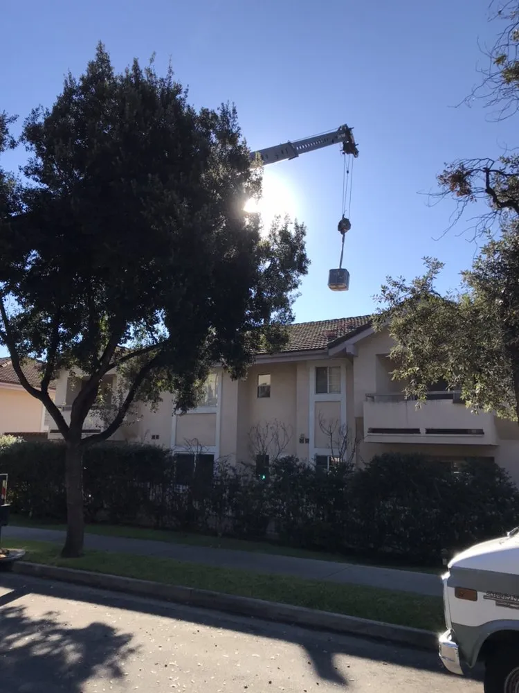 Slide of Lira’s Mechanical