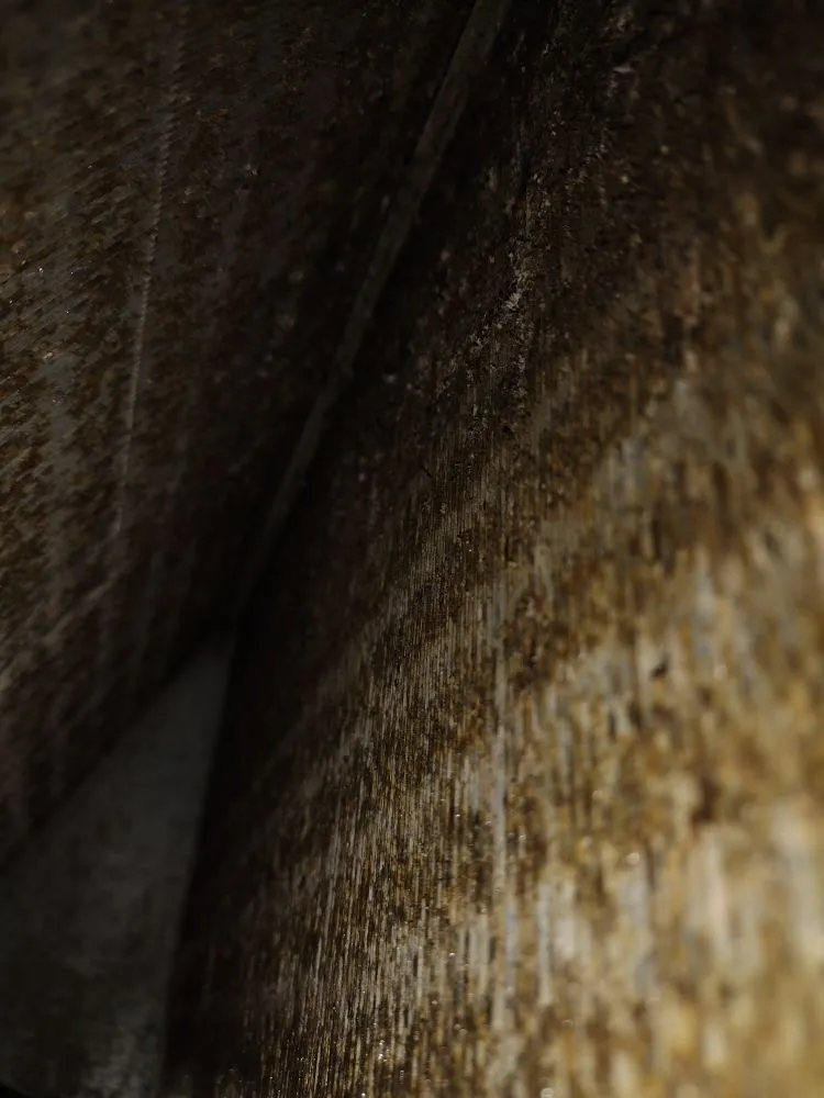 Slide of Living Lavish Property Maintenance