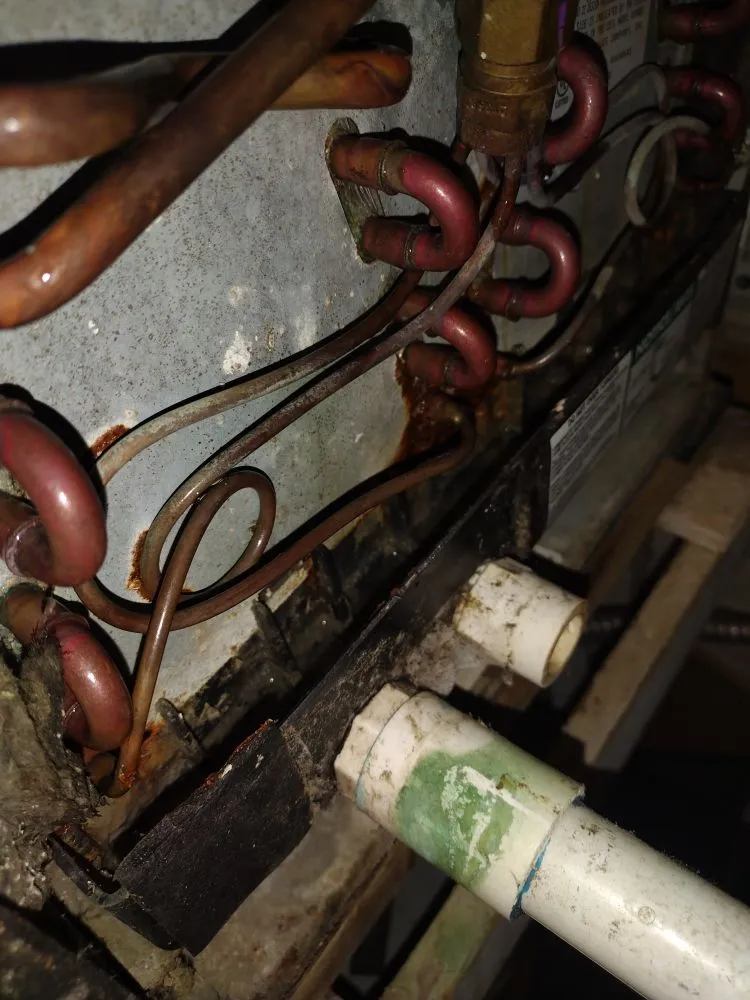 Slide of Living Lavish Property Maintenance