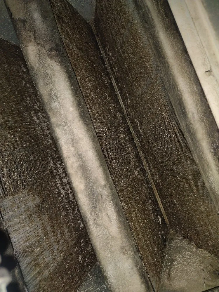 Slide of Living Lavish Property Maintenance