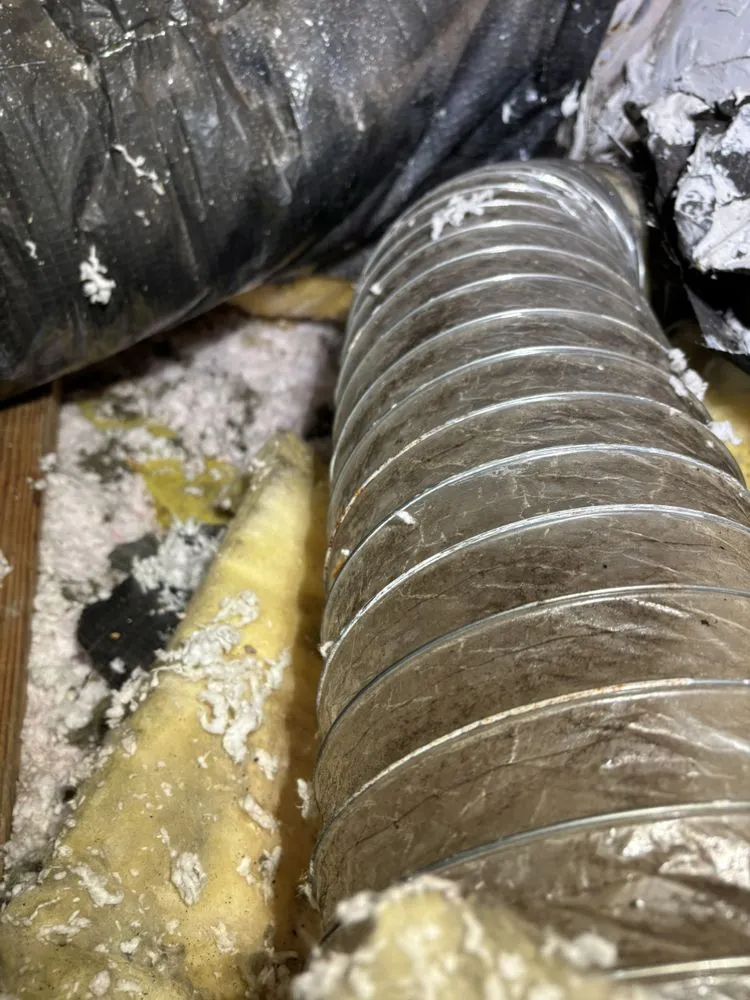 Slide of Livinon Mechanical