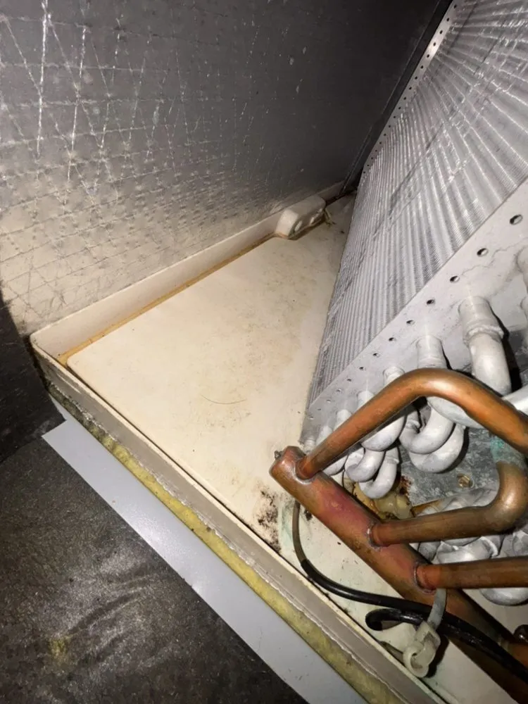 Slide of Livinon Mechanical