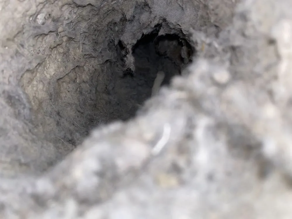 Slide of Local Builders