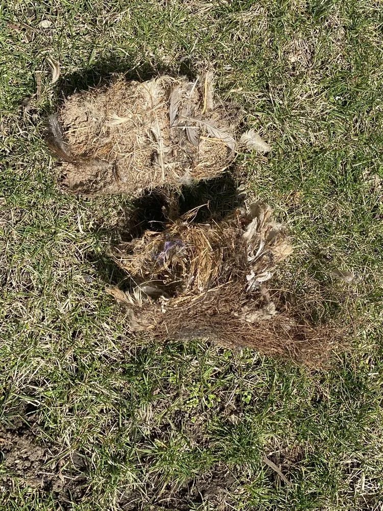 Slide of Local HVAC Repair and Service