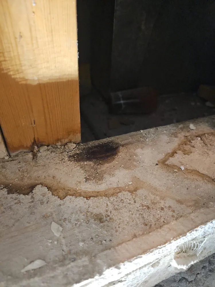 Slide of Local Plumbing, Heating & Cooling