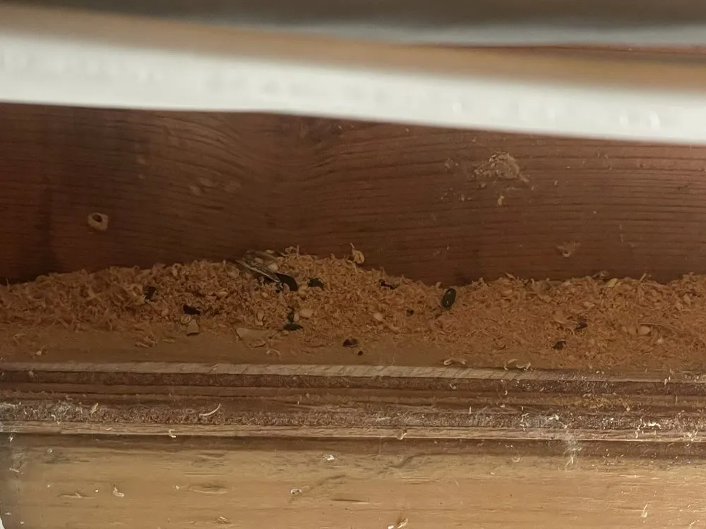 Slide of Logan Services A/C, Heat & Plumbing