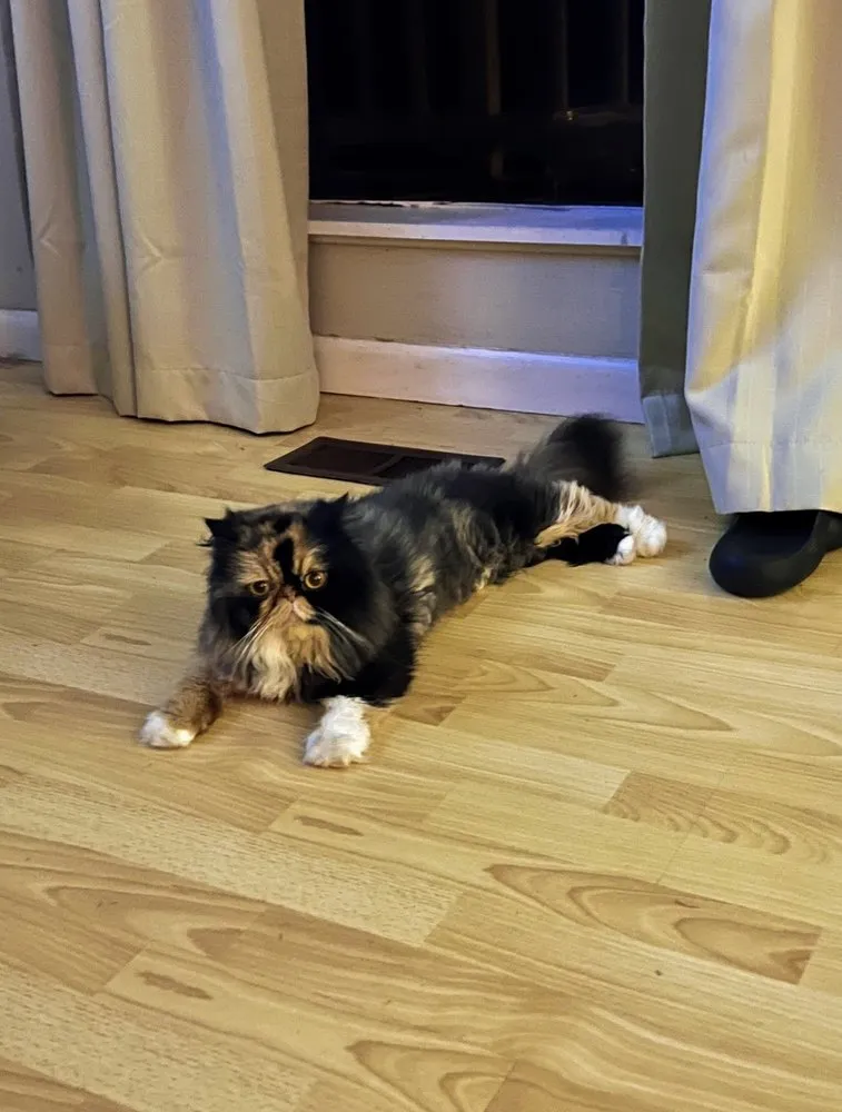 Slide of Lollar Mechanical Services