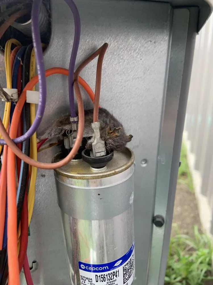 Top-rated HVAC installation same-day service across Trenton, TX - LoneStar HVAC Services