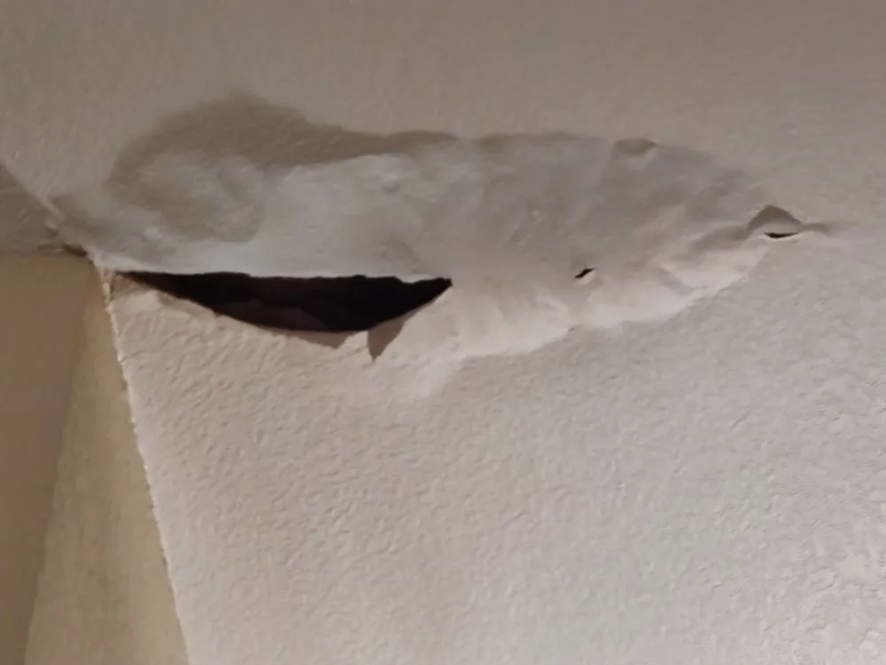 Slide of Longhorn Maintenance Heating & Cooling