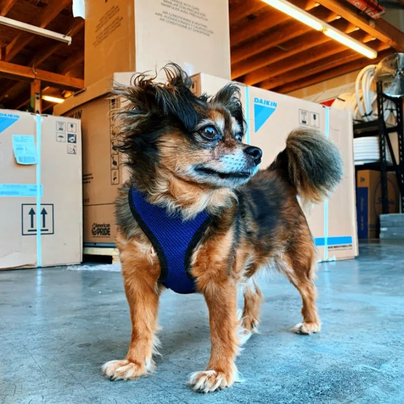 Slide of Long's Heating, Air Conditioning and Electric