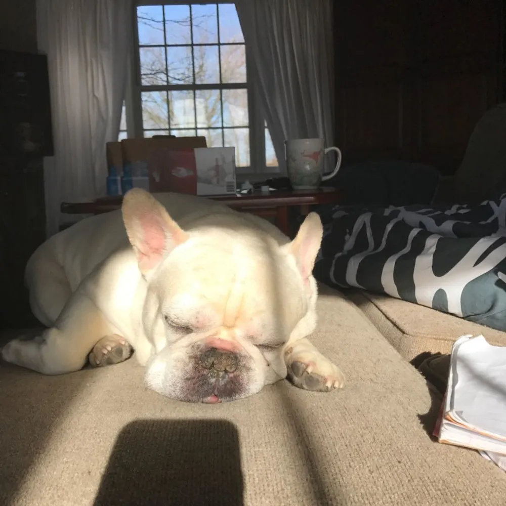 Slide of Lou Fasano Heating & Cooling