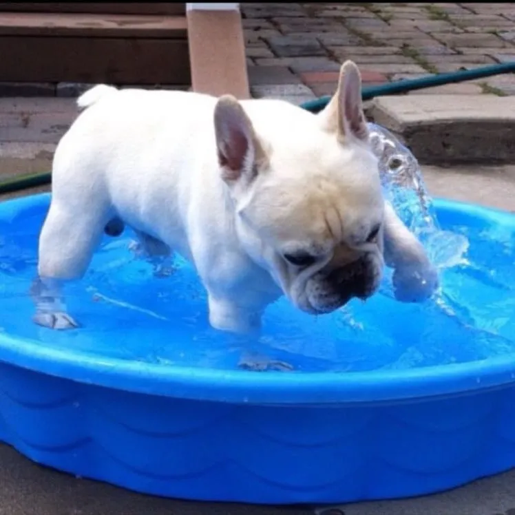 Slide of Lou Fasano Heating & Cooling