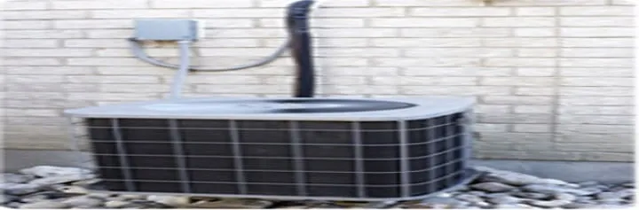 Slide of Lou Severino