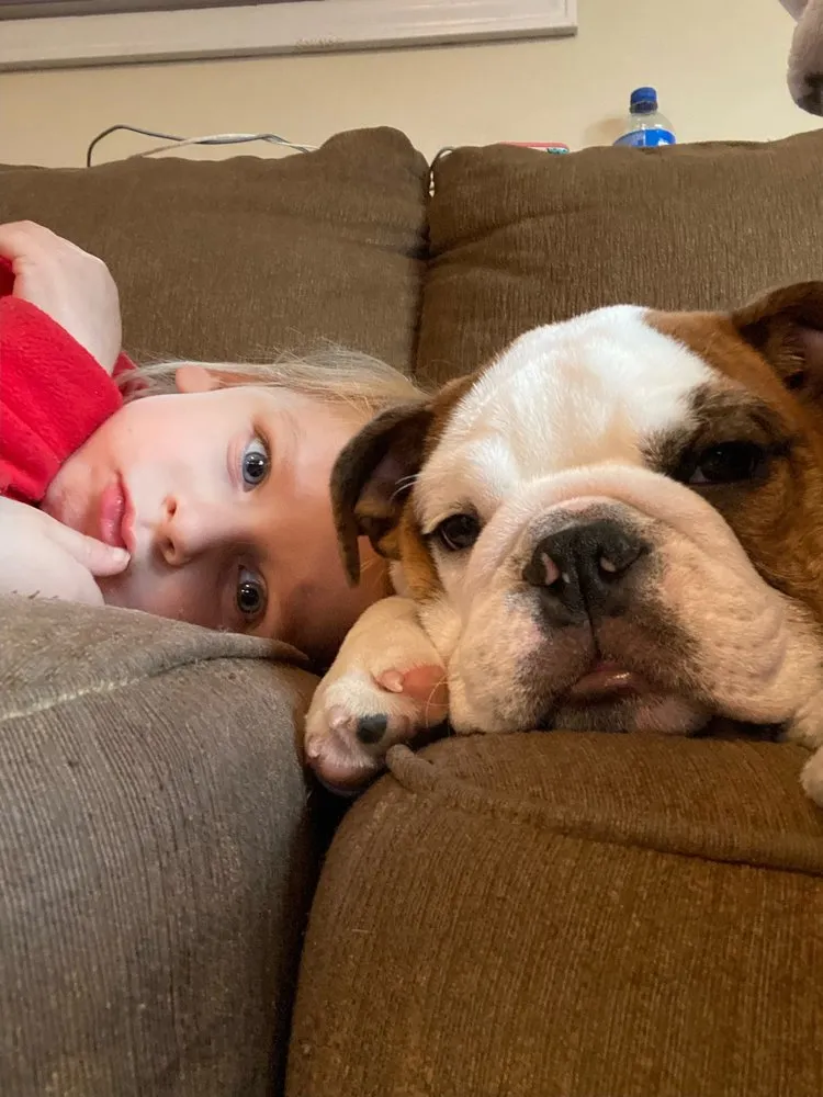 Slide of Louisville Hvac Pros