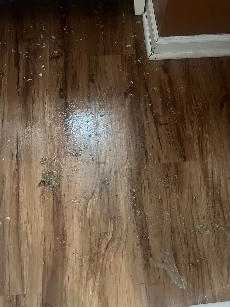 Slide of Love Plumbing Air & Electrical