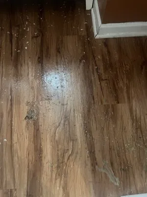 Love Plumbing Air & Electrical