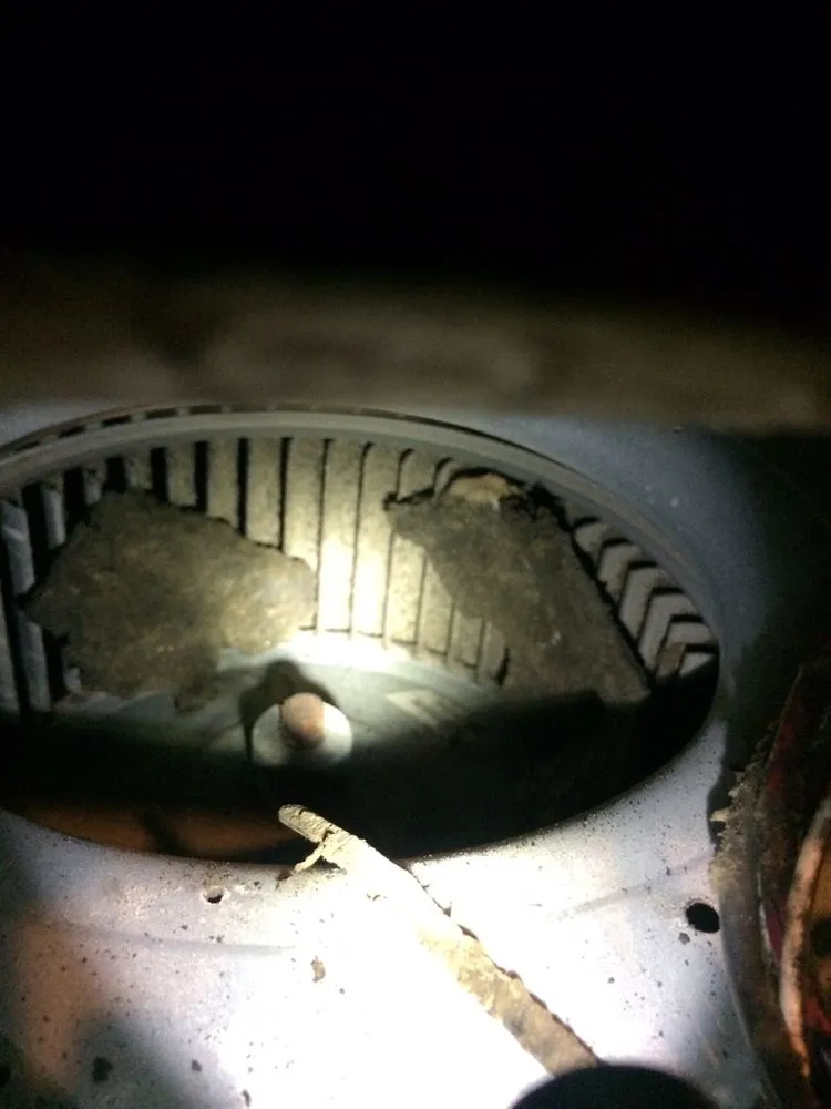 Slide of Loya's HVAC