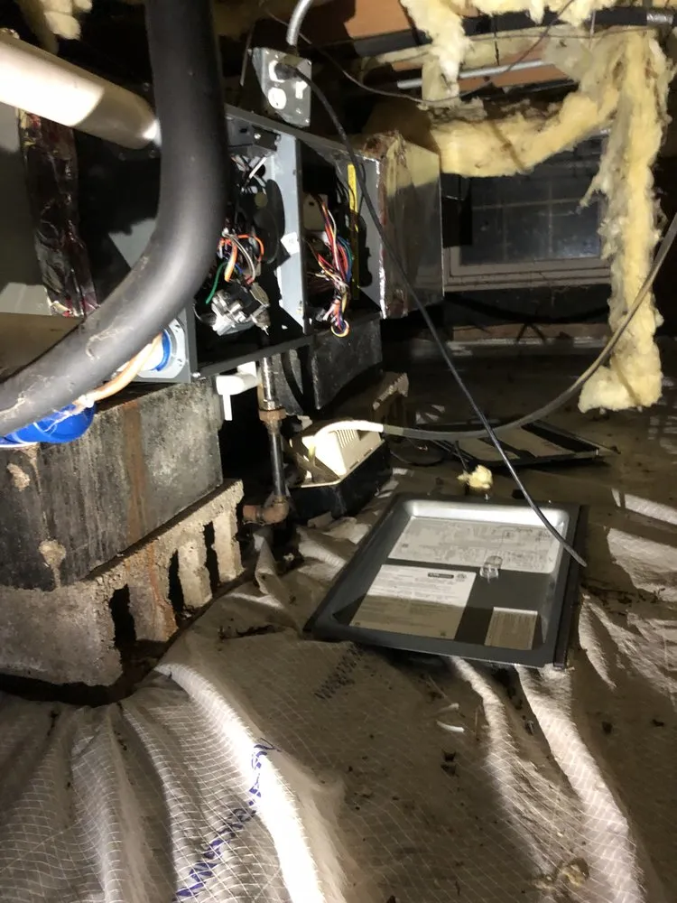 Slide of LR Gregory and Son