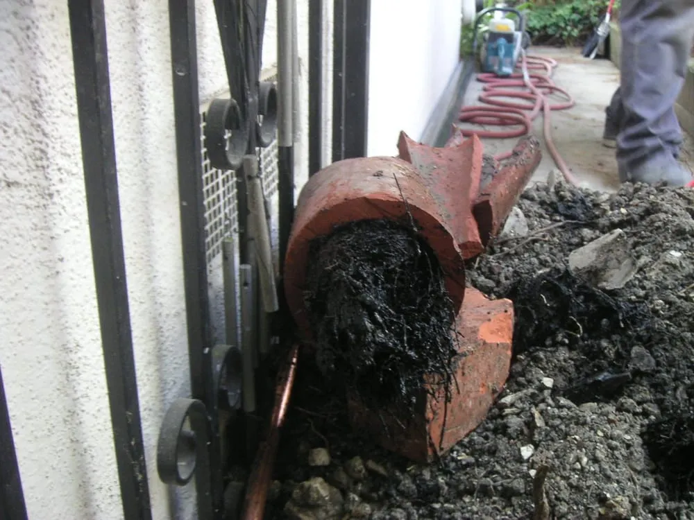 Slide of Lucas Plumbing