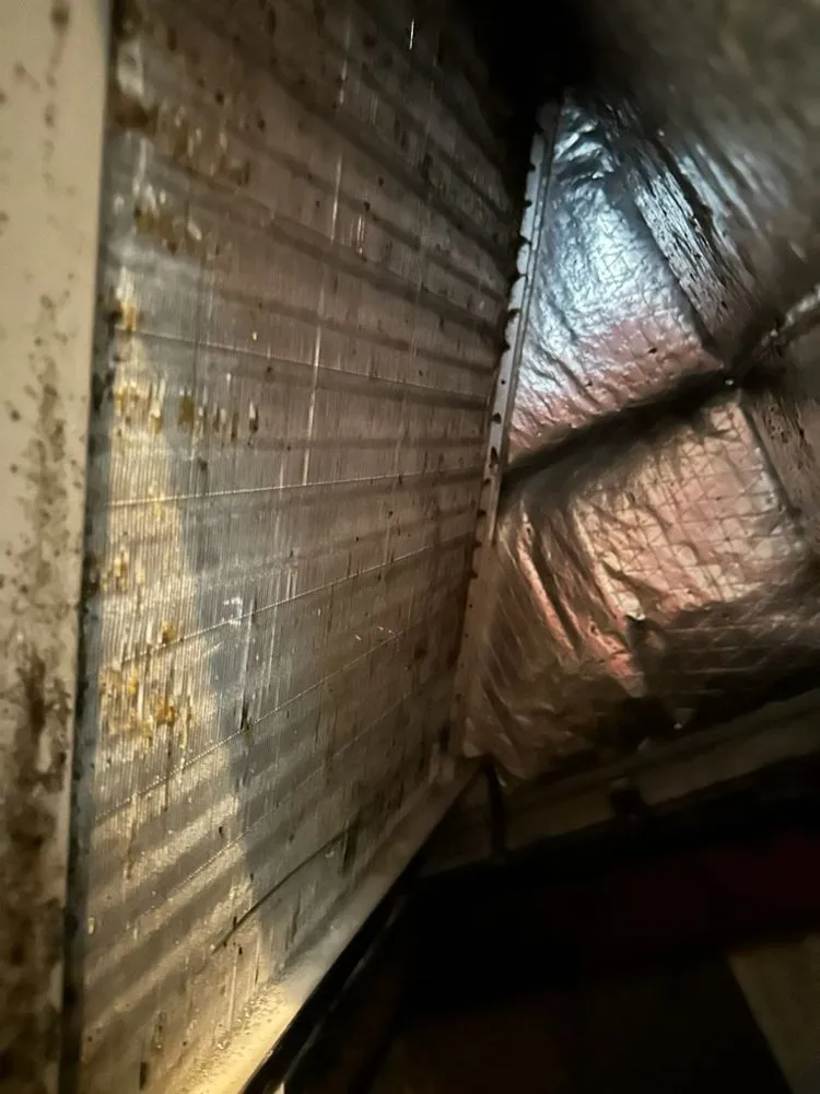 Slide of Luxury Cooling