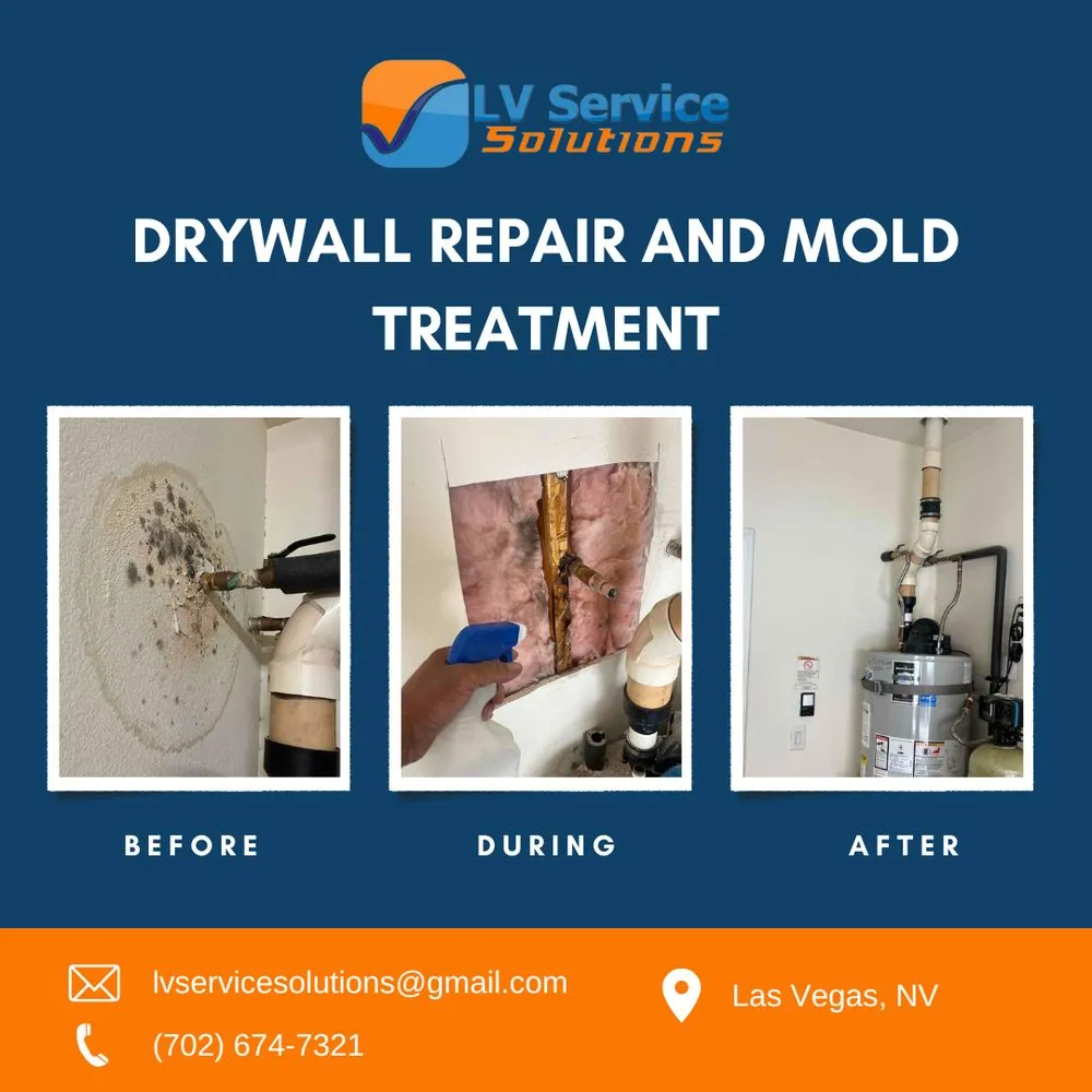 Slide of LV Service Solutions