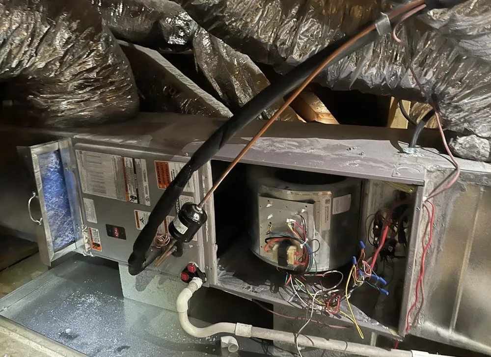 Slide of Lymont Maintenance