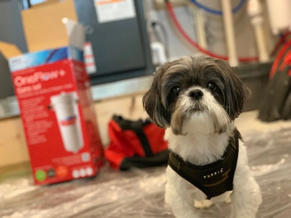 Slide of M E Flow, Inc.