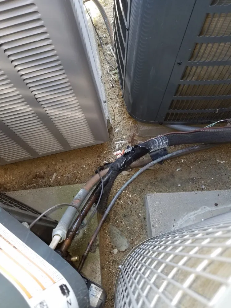 Slide of M. S. S. service