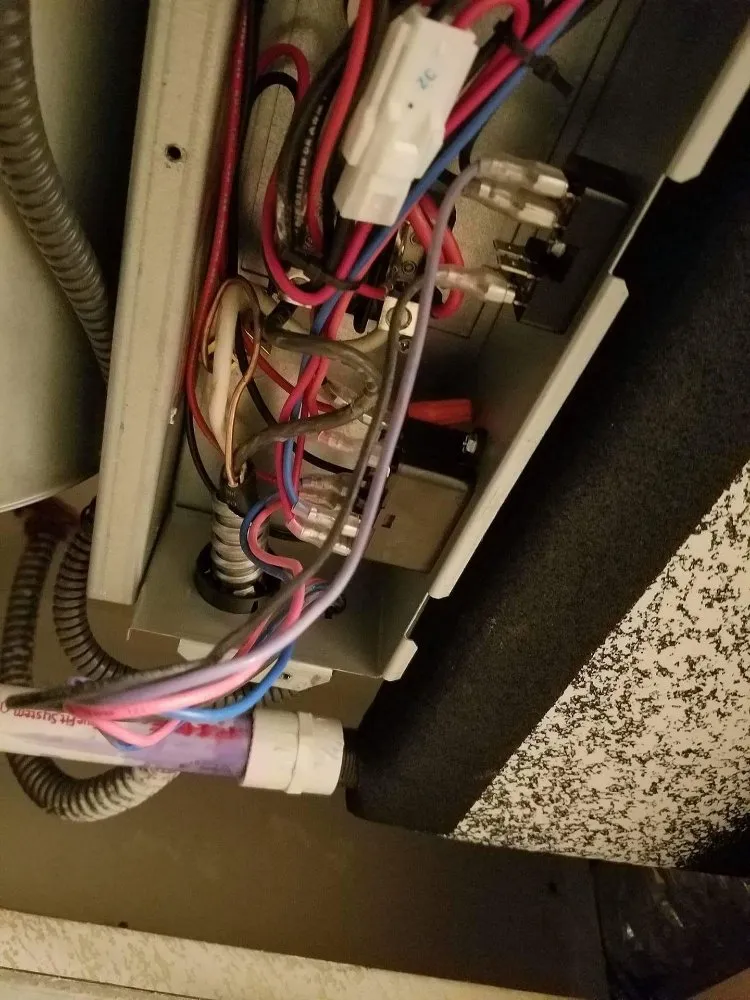 Slide of M. S. S. service