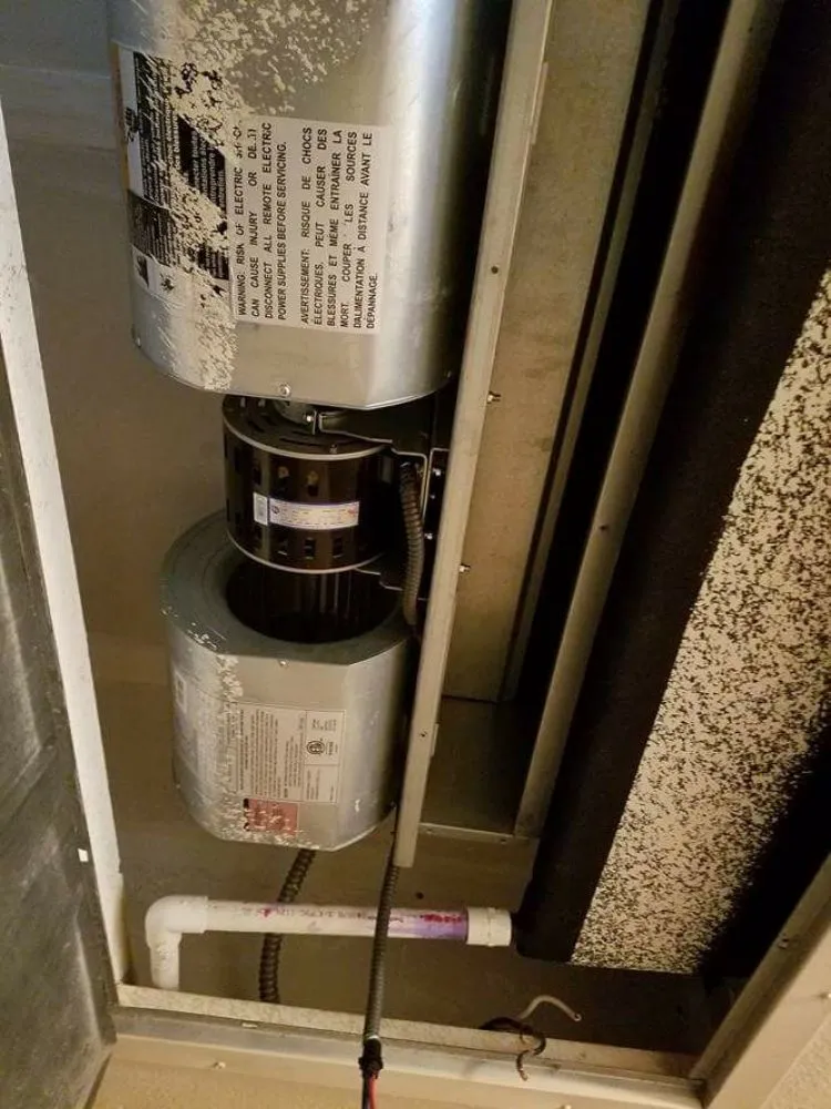 Slide of M. S. S. service