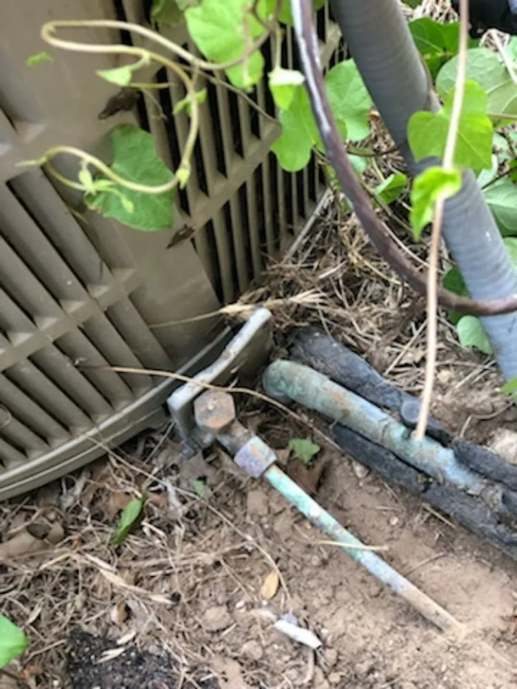 Slide of M. S. S. service