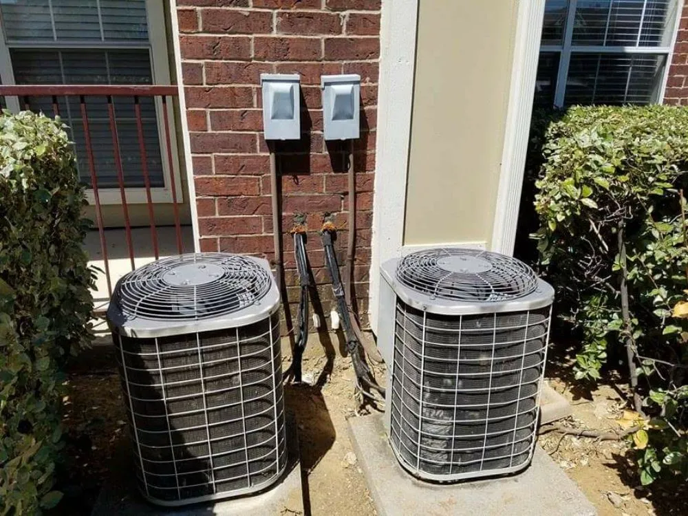 Slide of M. S. S. service