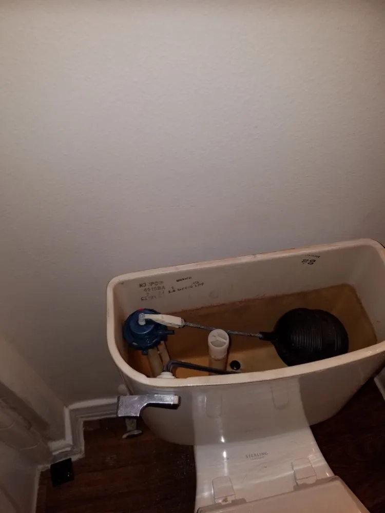 Slide of M. S. S. service