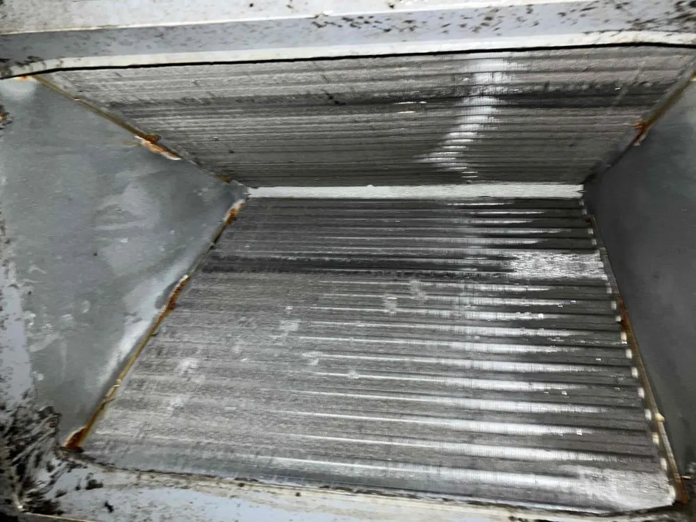 Slide of Mac 5 Services