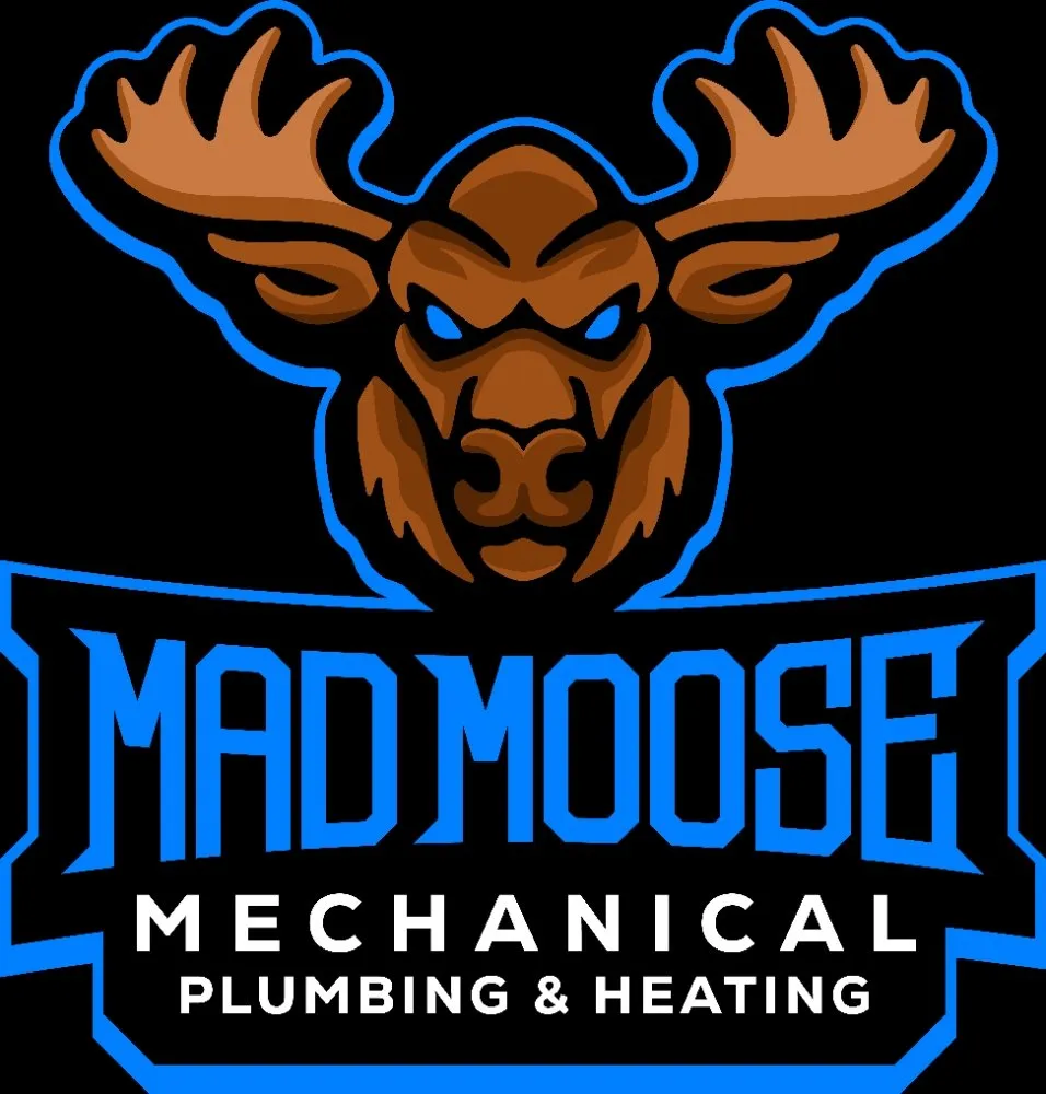 Slide of Mad Moose Mechanical