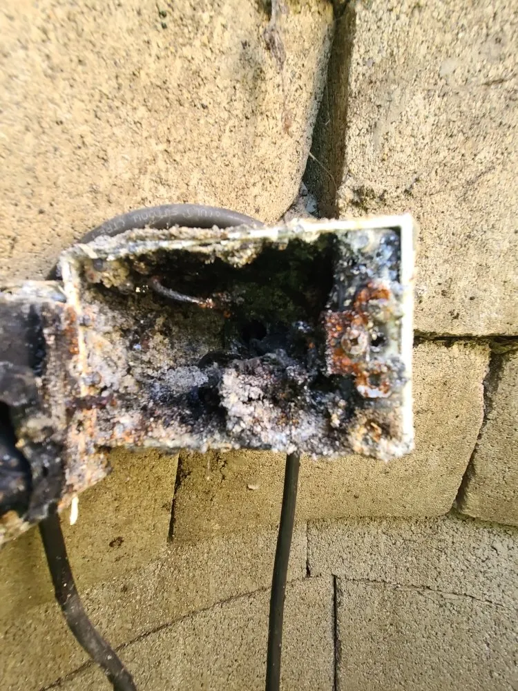 Slide of Magda Pro Cleaners