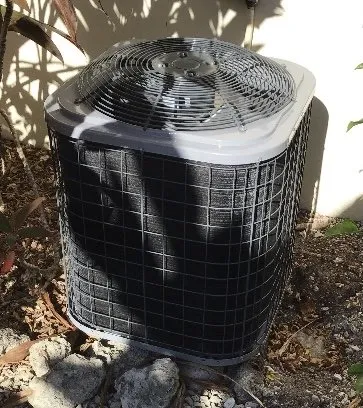 Slide of Magnificent Air