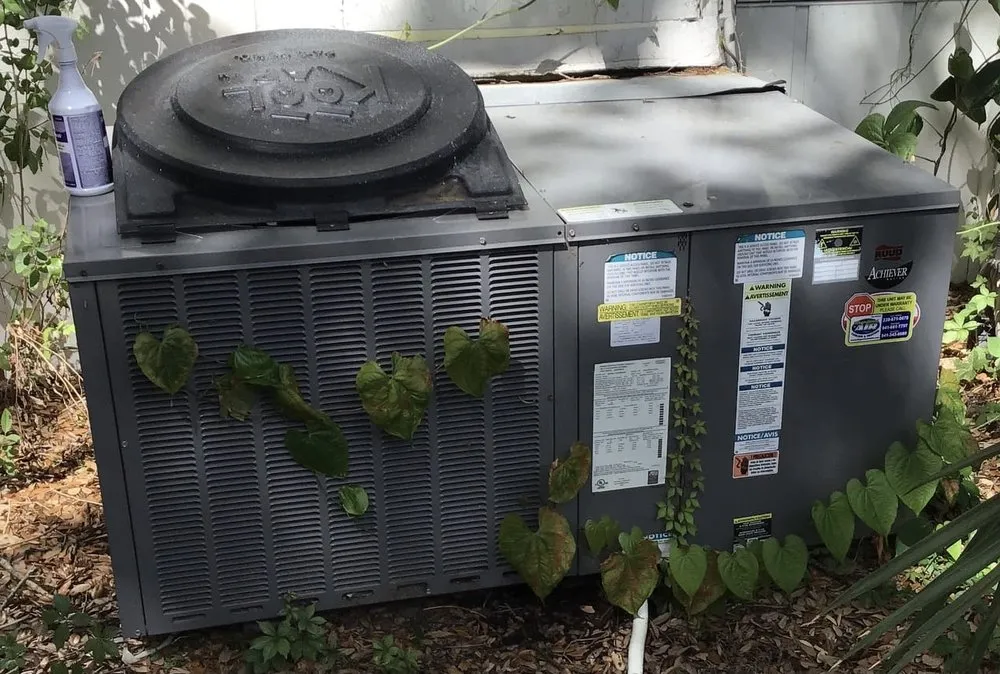 Slide of Magnificent Air